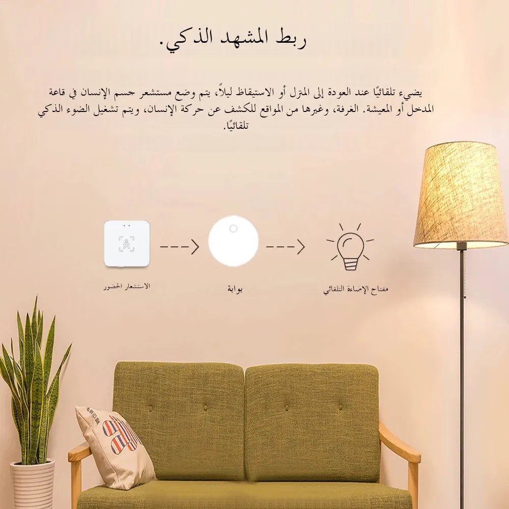 Haozee 24G Zigbee Human Presence Detector Smart Human Body PIR Sensor Radar DetectorMotion Sensors Support Home Assistant