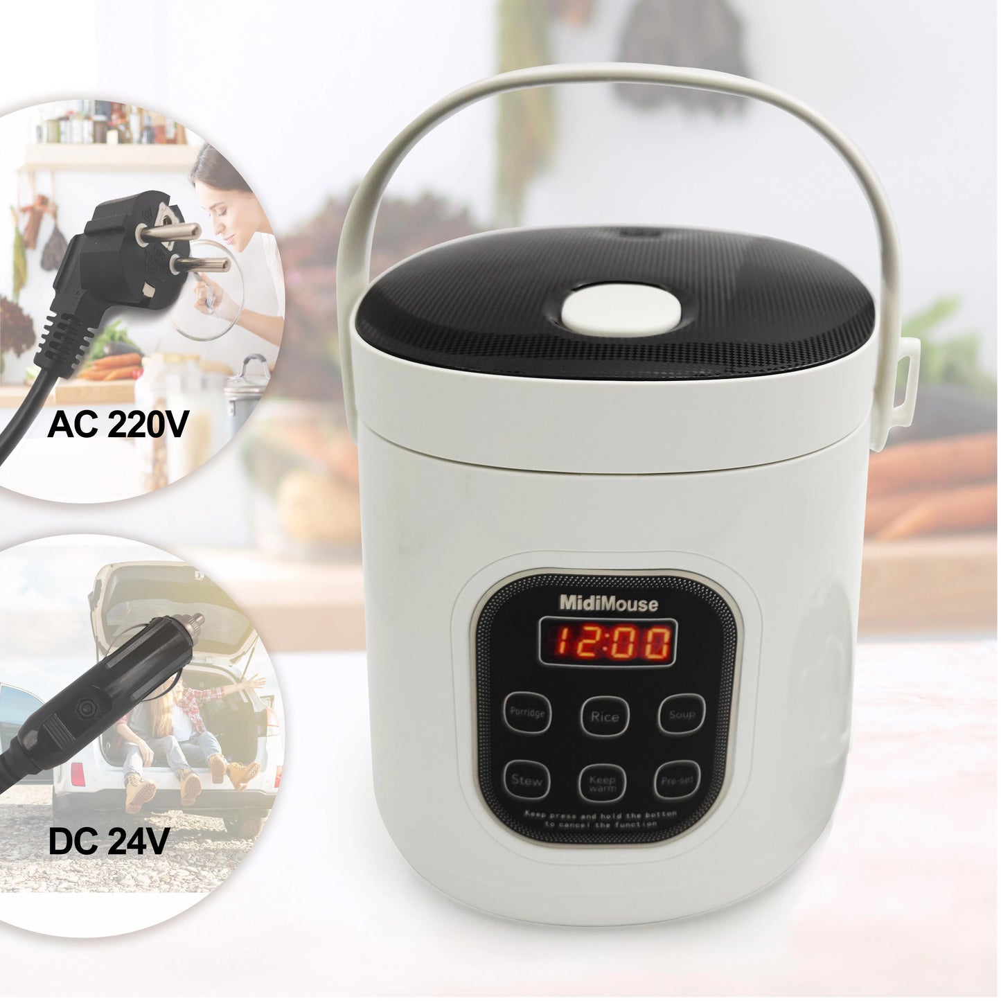 Rice Cooker Used in Car and Home 12v to 220v or Truck and Home 24v to 220V or Car and Truck 12v to 24v