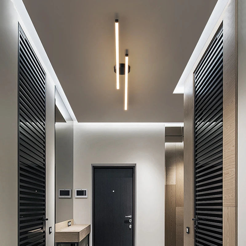 Smart LED Ceiling Light Remote Control 60/80CM Lights Bedroom Living Room Hallway Kitchen Balcony Home Lamp Led Lighting Lustre