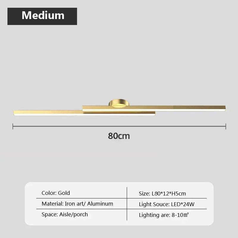Smart LED Ceiling Light Remote Control 60/80CM Lights Bedroom Living Room Hallway Kitchen Balcony Home Lamp Led Lighting Lustre