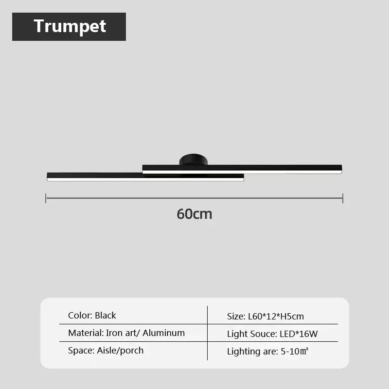 Smart LED Ceiling Light Remote Control 60/80CM Lights Bedroom Living Room Hallway Kitchen Balcony Home Lamp Led Lighting Lustre