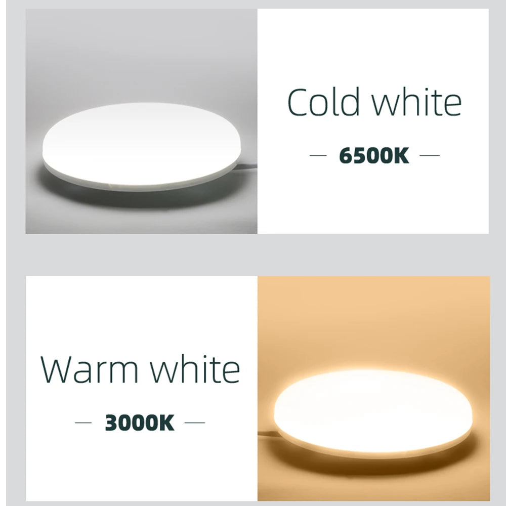 Modern Ceiling Light LED Ceil Light 15W 20W 30W 50W Led Ceiling Lamp for Living Room Bedroom Kitchen Indoor Lighting Fixture
