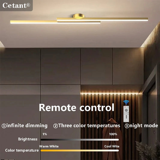 Smart LED Ceiling Light Remote Control 60/80CM Lights Bedroom Living Room Hallway Kitchen Balcony Home Lamp Led Lighting Lustre