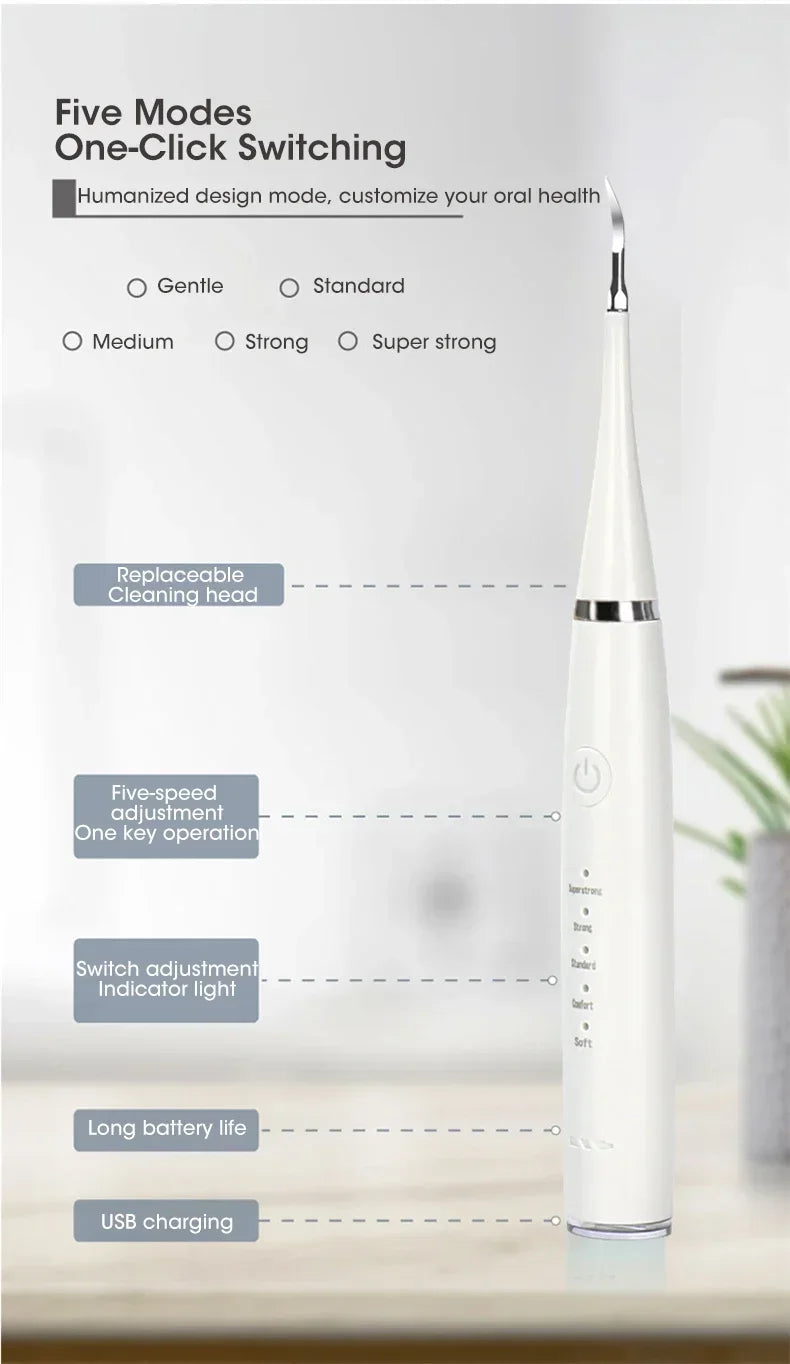 Electric Toothbrush with Sonic Cleaning 3-in-1 for Teeth Whitening & Oral Care - USB Charging & Replaceable Brush Head