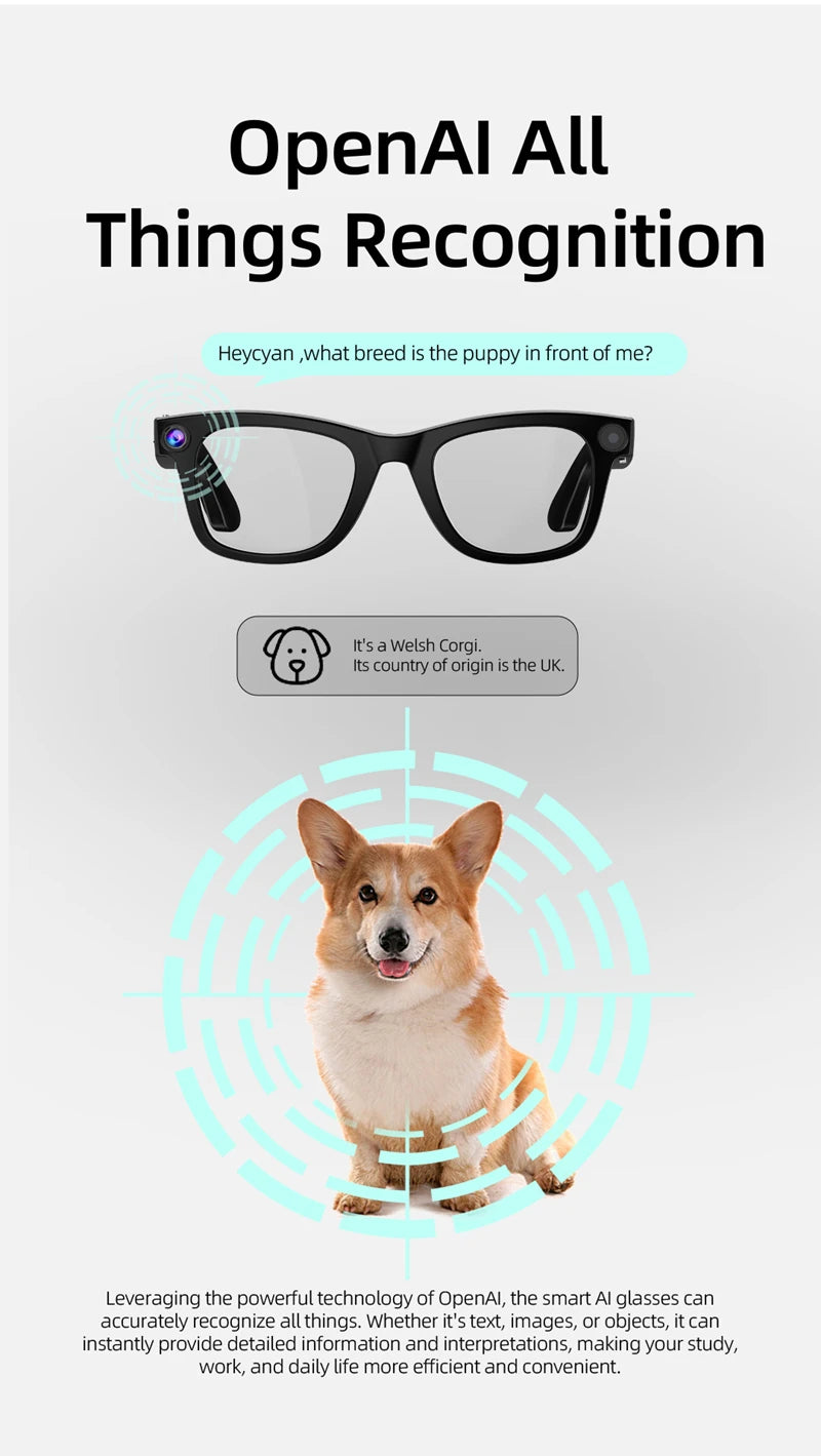 XIAOMI MIJIA Smart AI Glasses 800W Pixel G300 AI Shooting Camera HD Photo Video Voice Call Translation Waterproof Glasse Devices