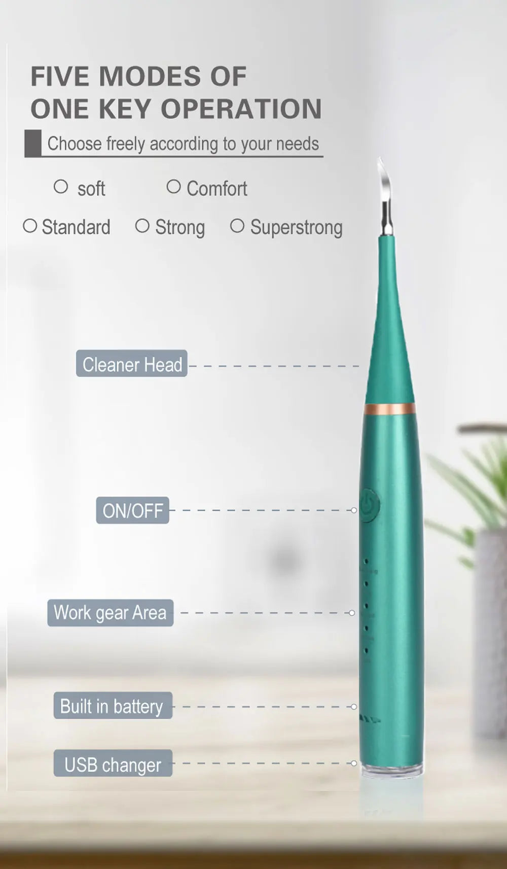 Electric Toothbrush with Sonic Cleaning 3-in-1 for Teeth Whitening & Oral Care - USB Charging & Replaceable Brush Head